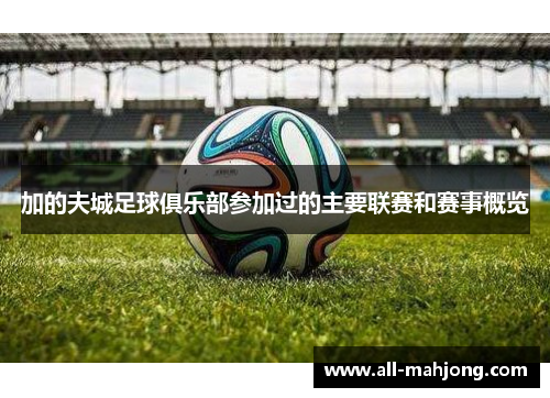 加的夫城足球俱乐部参加过的主要联赛和赛事概览