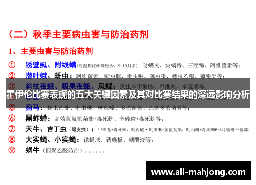 霍伊伦比赛表现的五大关键因素及其对比赛结果的深远影响分析 霍伊伦比赛表现的五大关键因素及其对比赛结果的深远影响分析